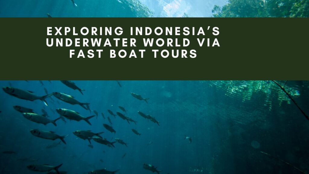 An underwater image of a vibrant coral reef teeming with colorful fish. The title "EXPLORING INDONESIA'S UNDERWATER WORLD VIA FAST BOAT TOURS" is superimposed over the image.